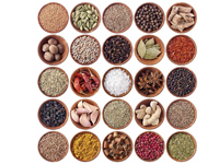 Herbs-Spices and Condiments
