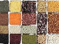 Cereals,Pulses and its products